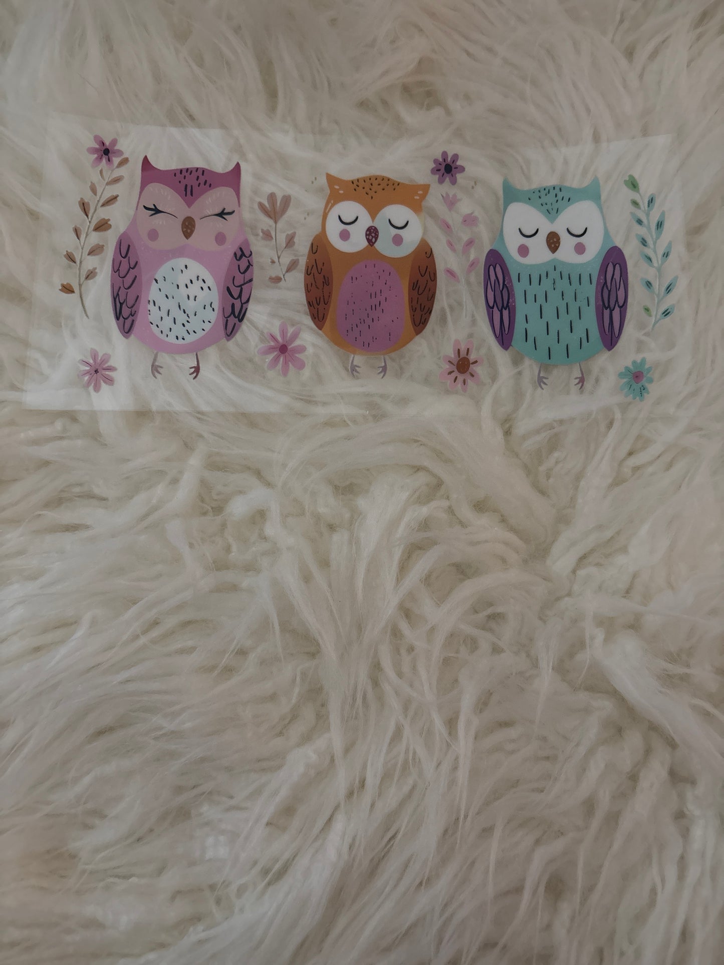 Owls