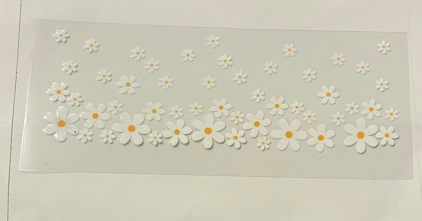 Daisy Flowers