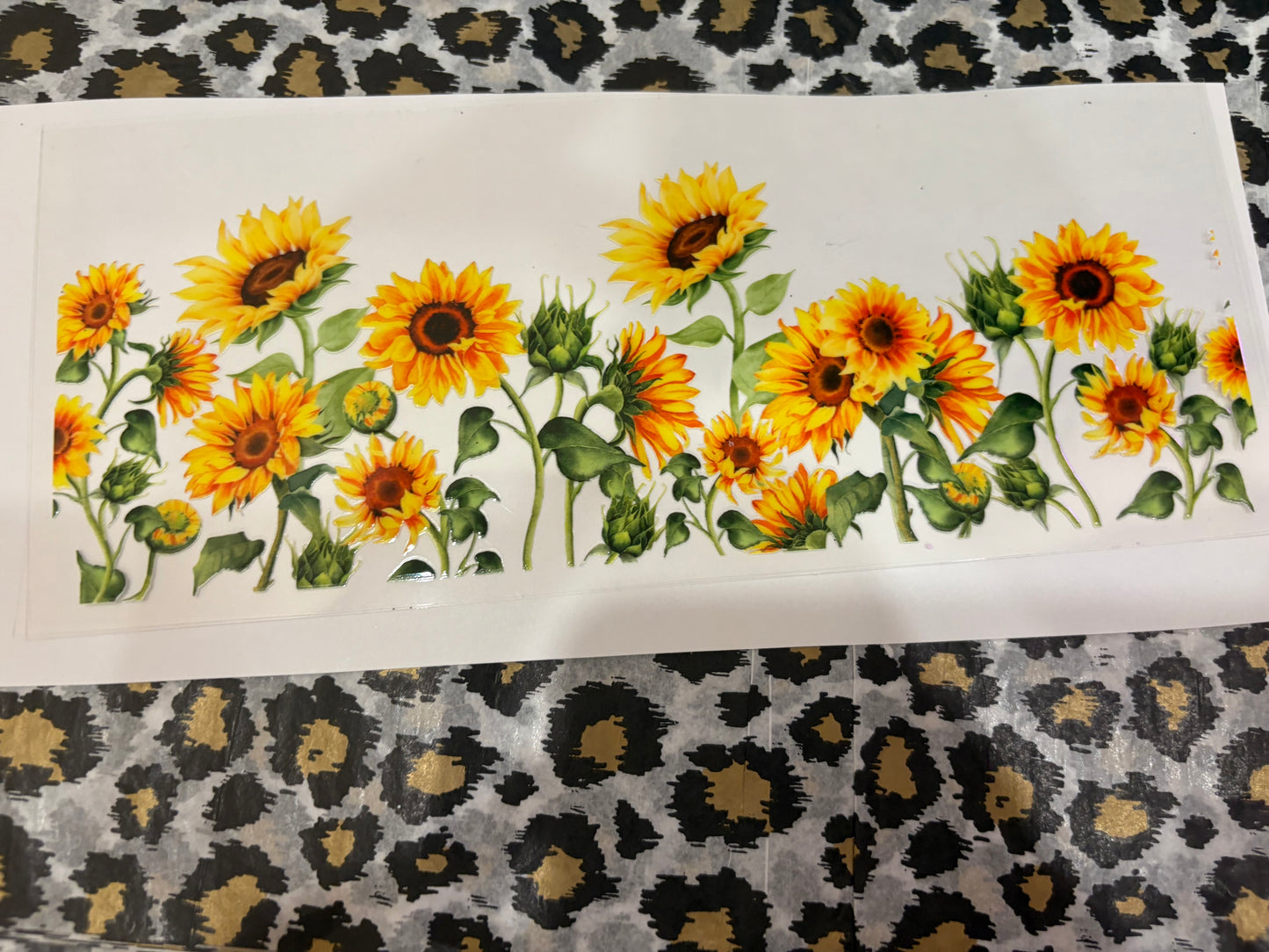 Sunflower Field