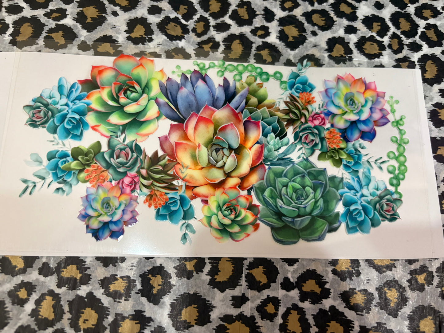 Hib Floral