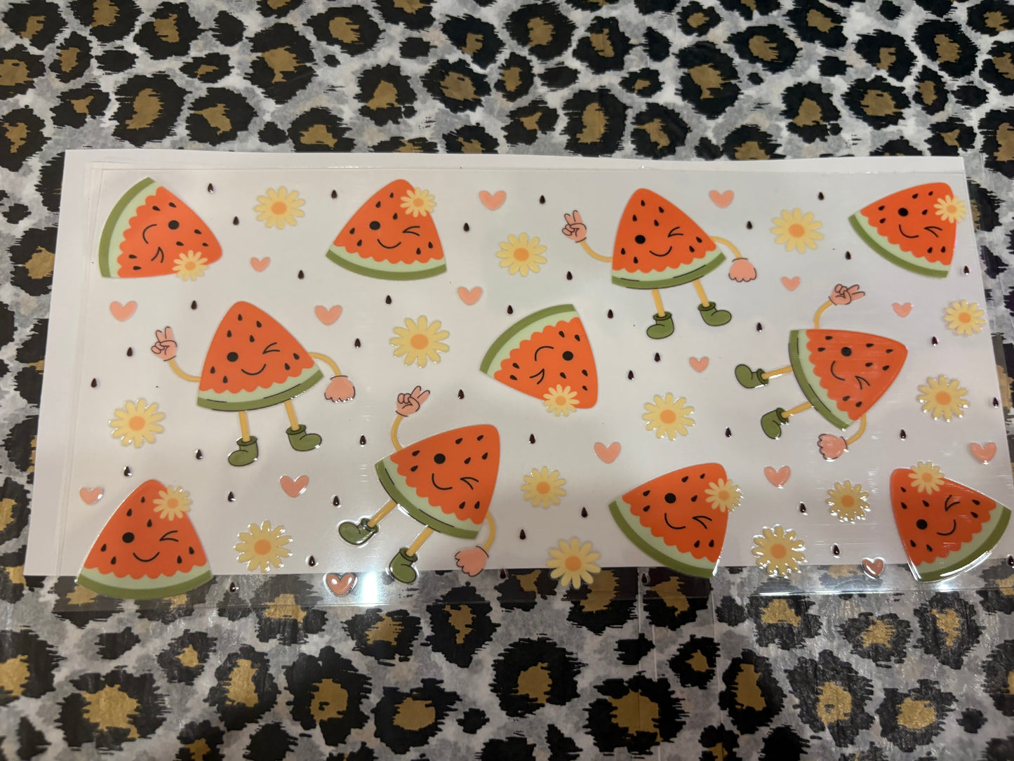 Watermelon Slices