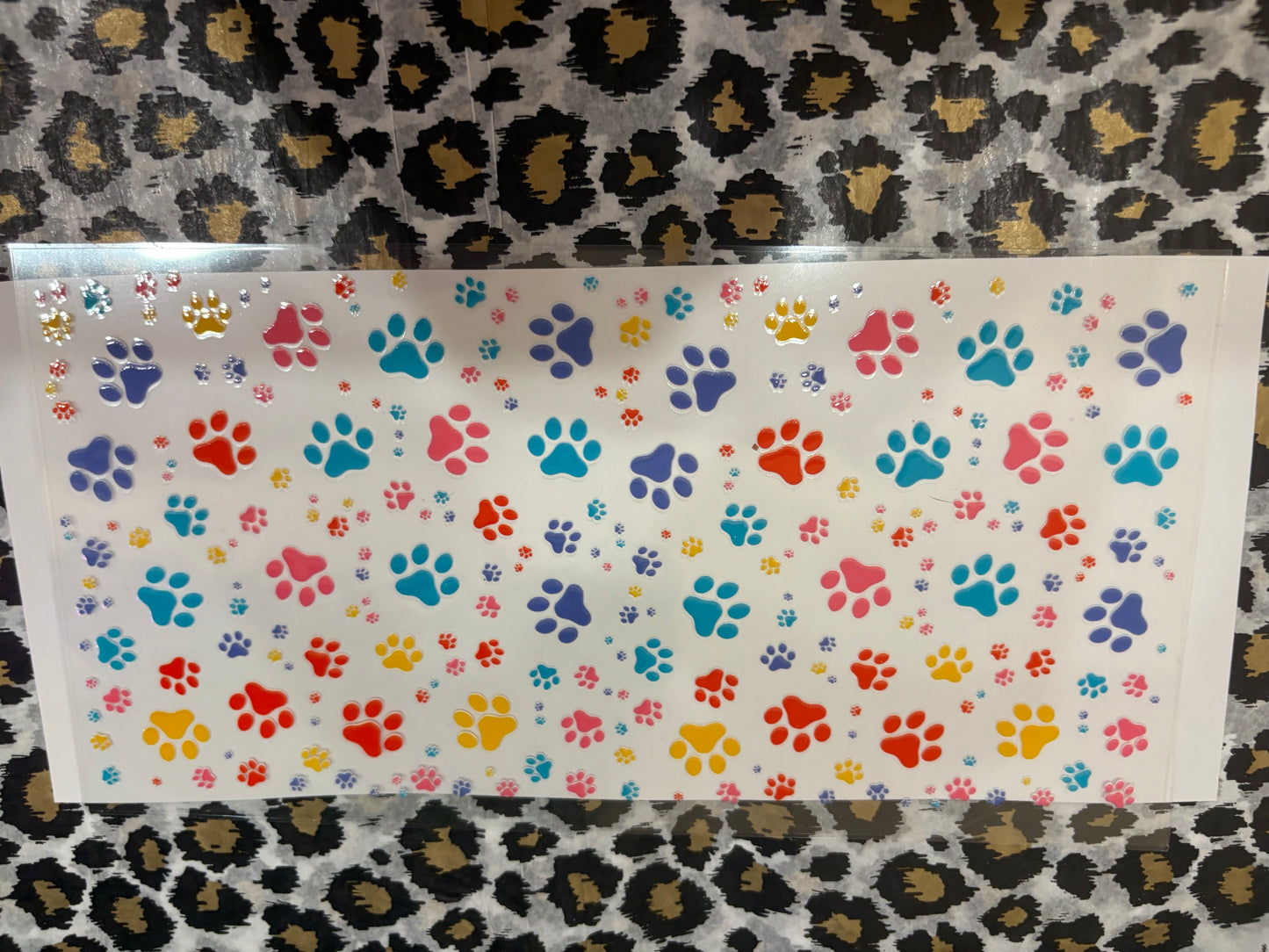 Multi Color Paw Prints
