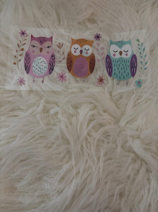Owls