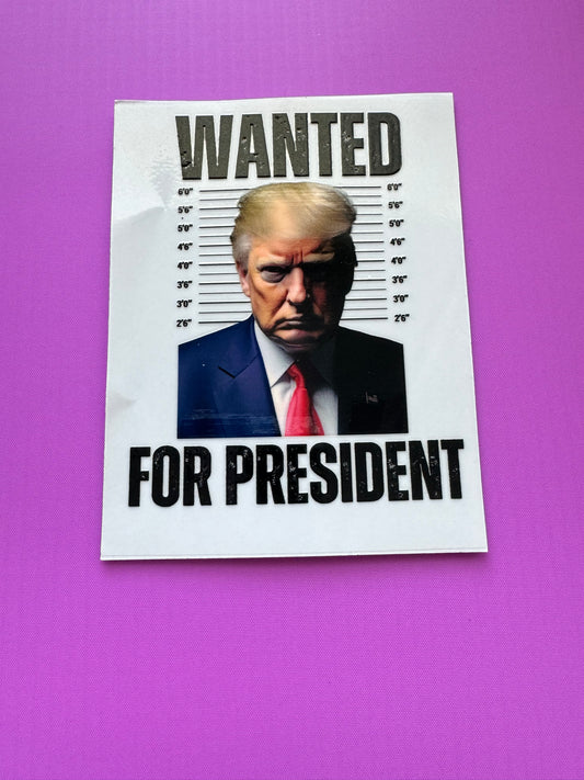 Wanted for President #47