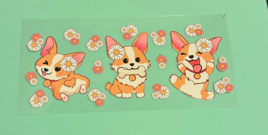 Corgi dog #6