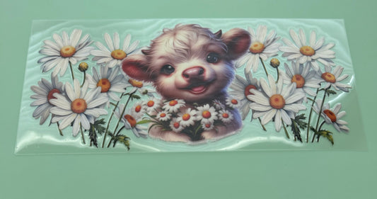Daisy Cow