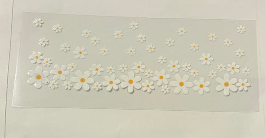 Daisy Flowers