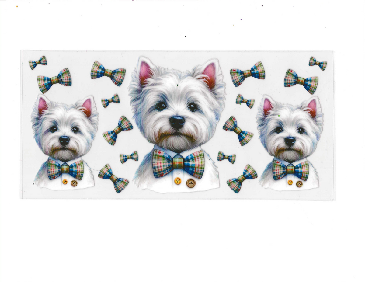 Animals 20
