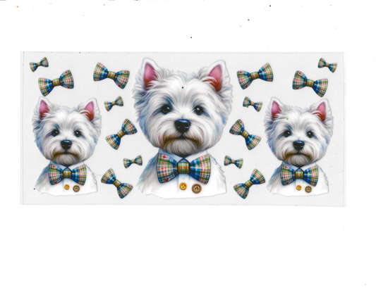 Animals 20