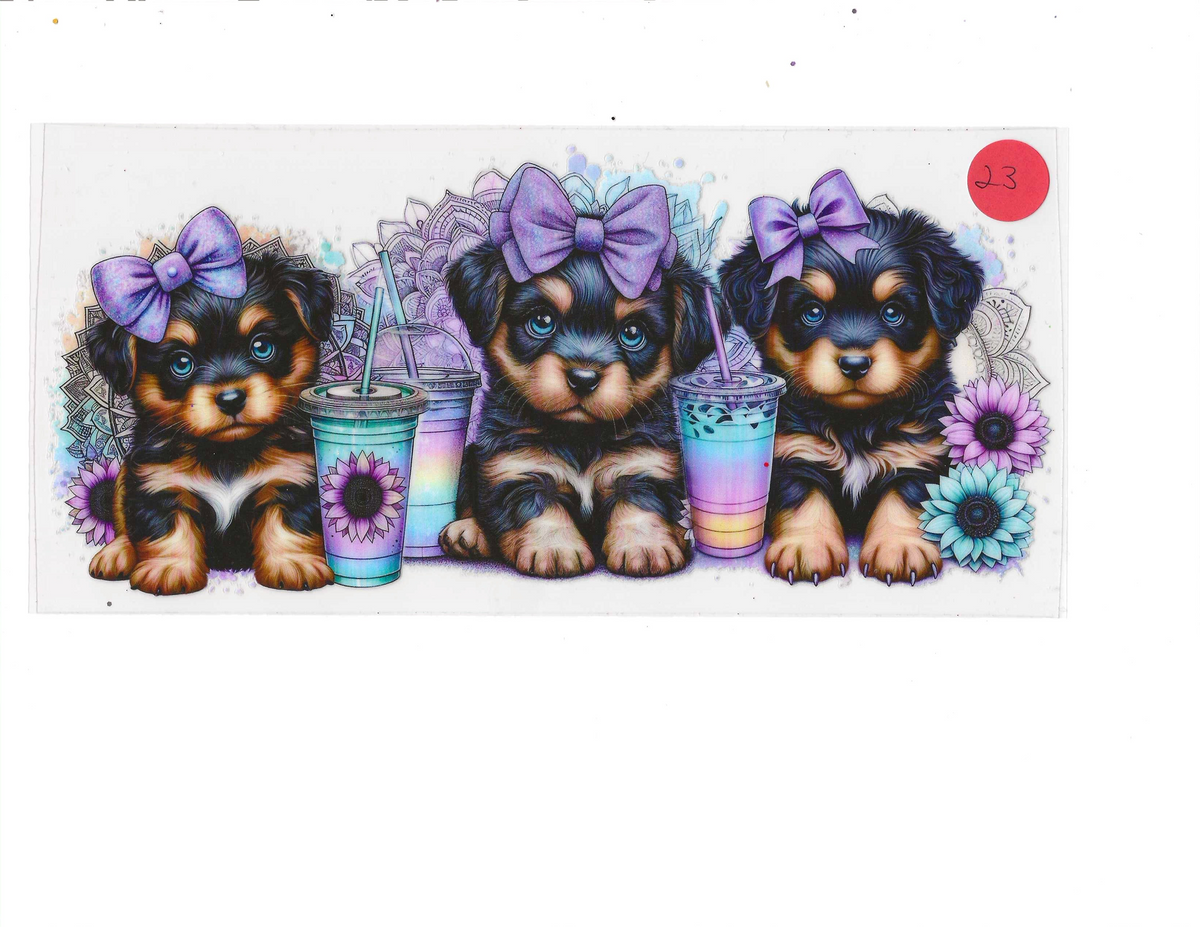 Animals 23