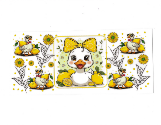 Bows 112