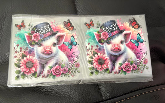 Baby Pig