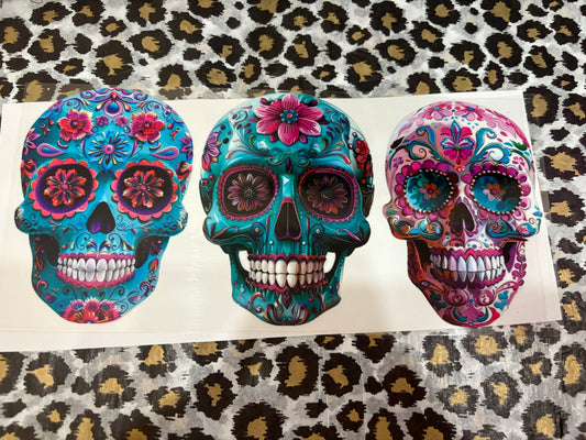 Skull