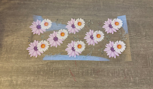 Purple/White Daisy