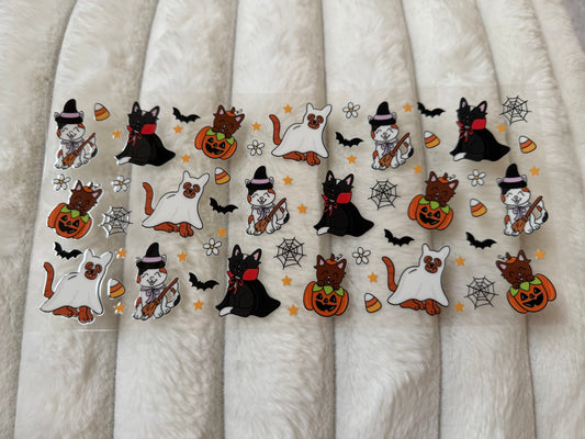 Cat Spooky